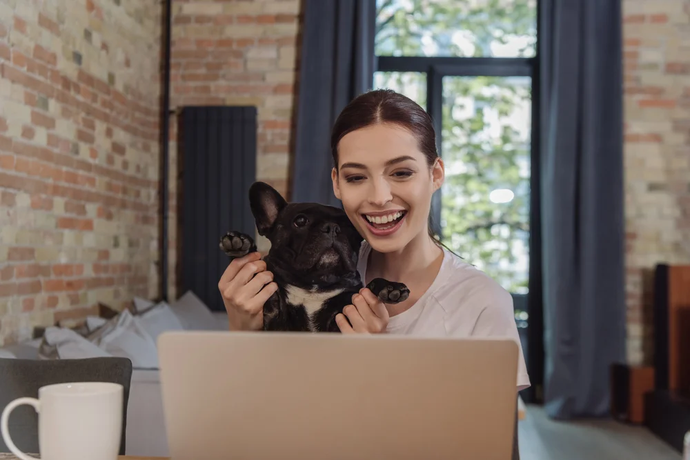 Happy woman video chatting with her French Bulldog