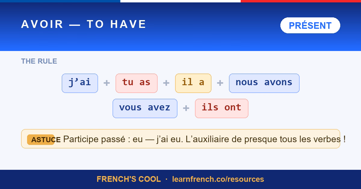 French verb poster: Avoir — to have, present tense conjugation