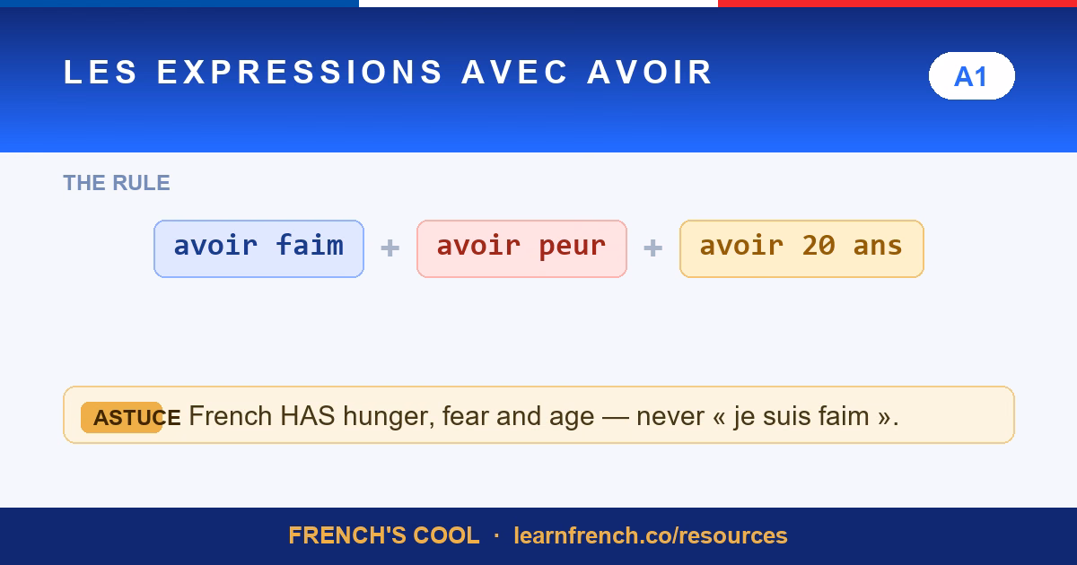 avoir expressions lesson poster