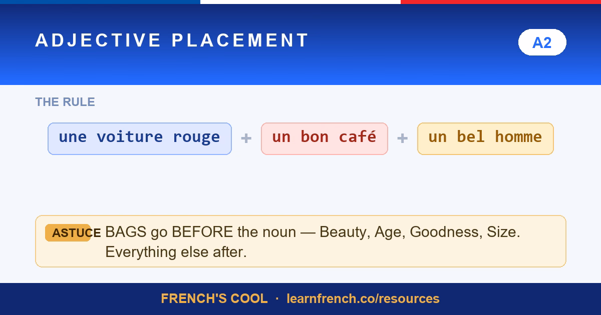 french adjective placement lesson poster