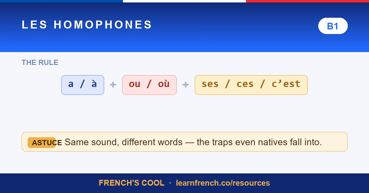 french homophones lesson poster