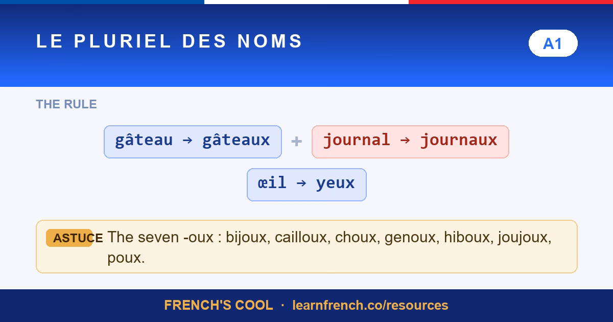 french plural nouns lesson poster