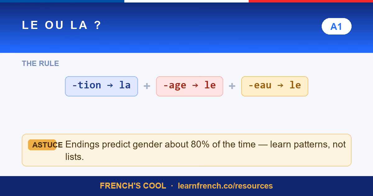 le or la french noun gender lesson poster