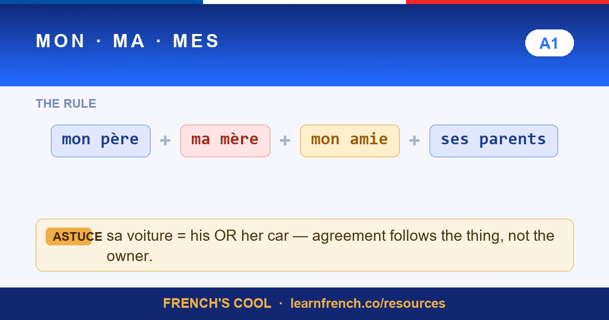 mon ma mes french possessives lesson poster