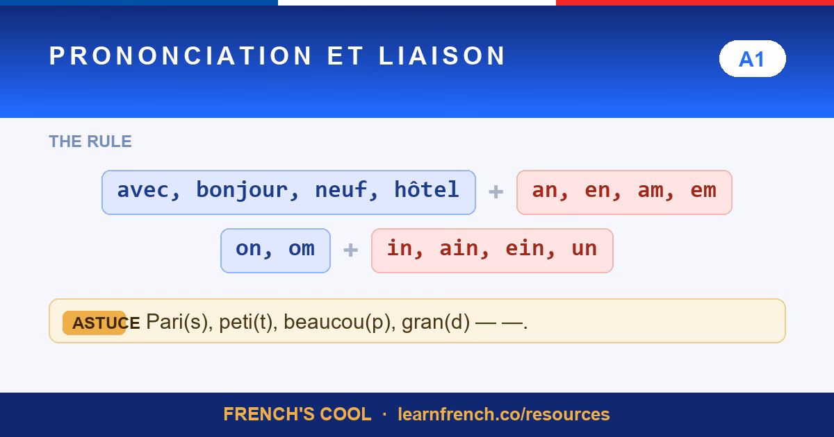 Prononciation & Liaison — French grammar quiz in 20 seconds
