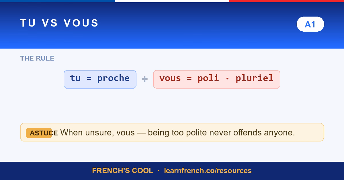 tu vs vous lesson poster