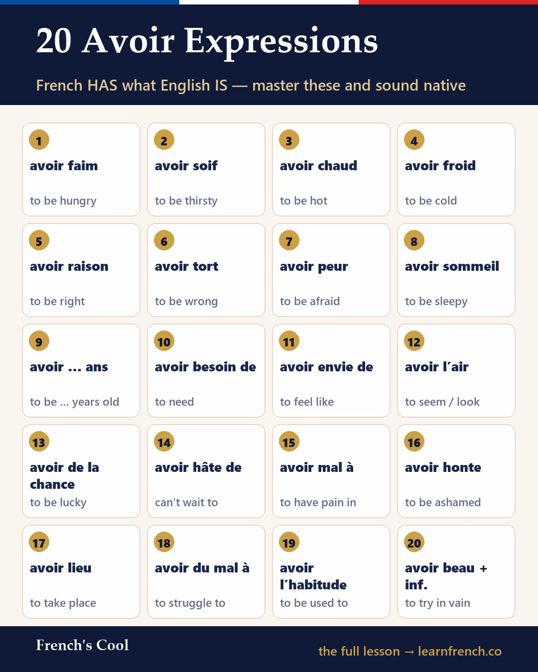 20 Avoir Expressions — French learning poster