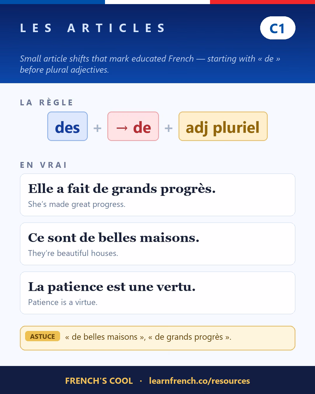 French grammar poster: Les articles at level C1