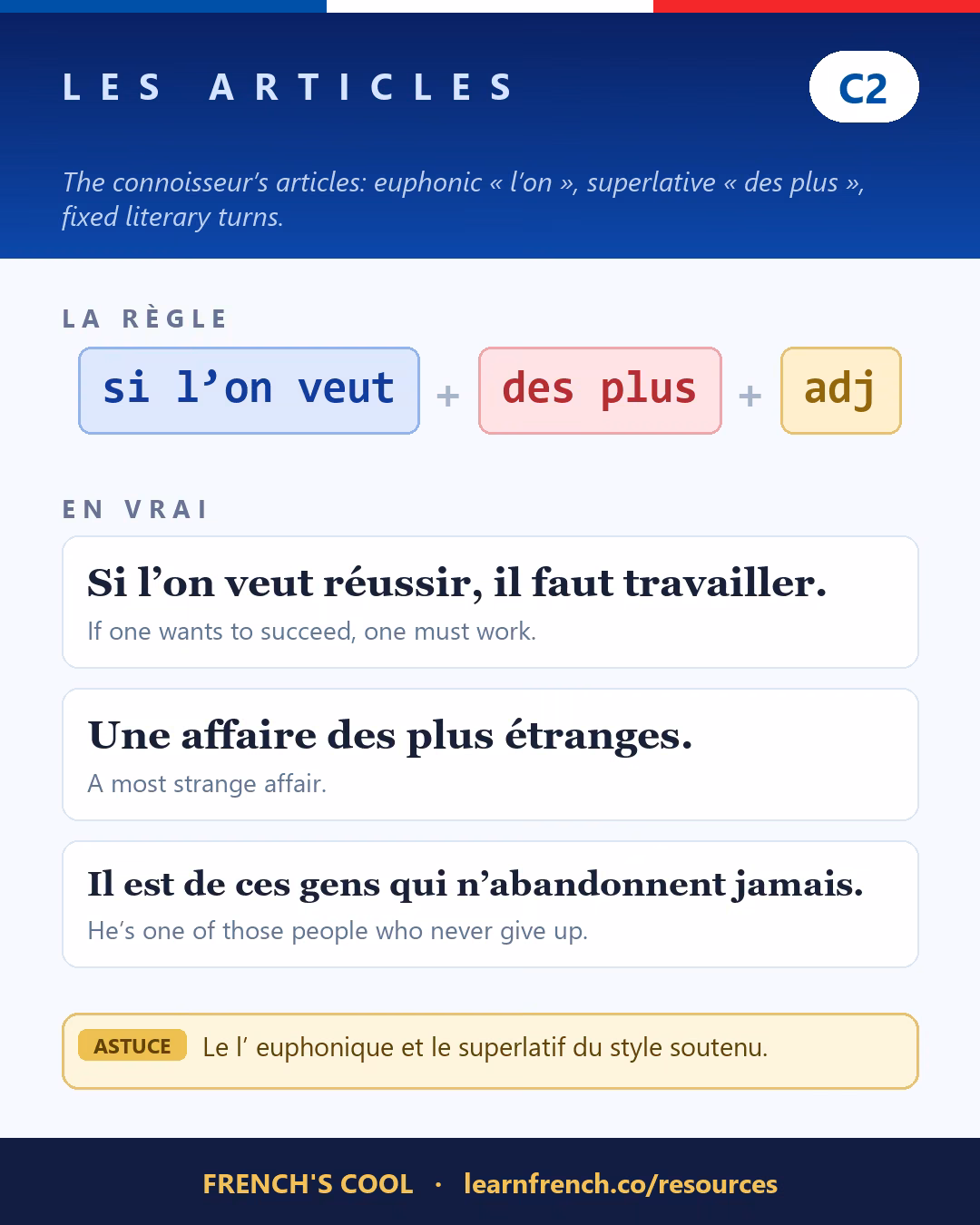 French grammar poster: Les articles at level C2