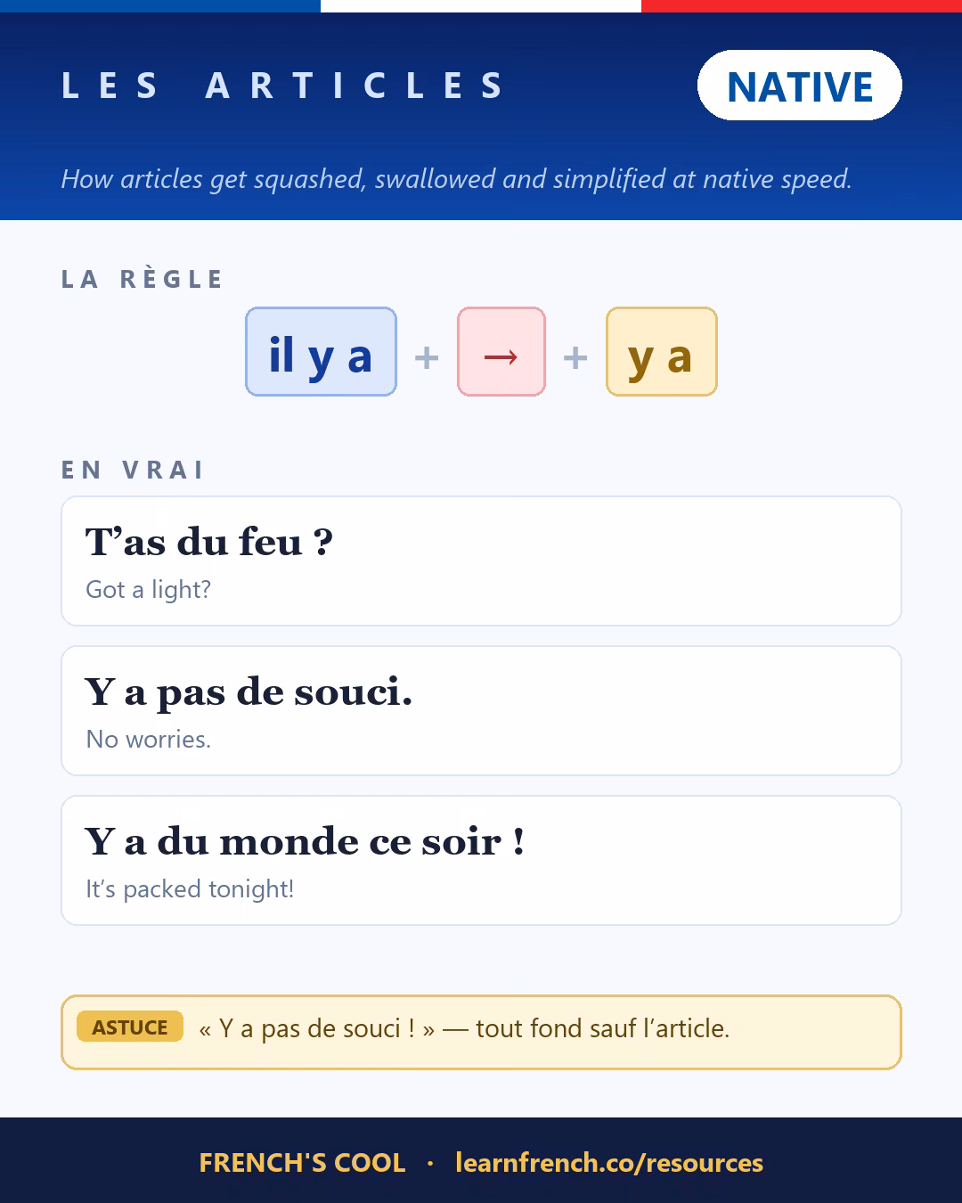 French grammar poster: Les articles at level Native