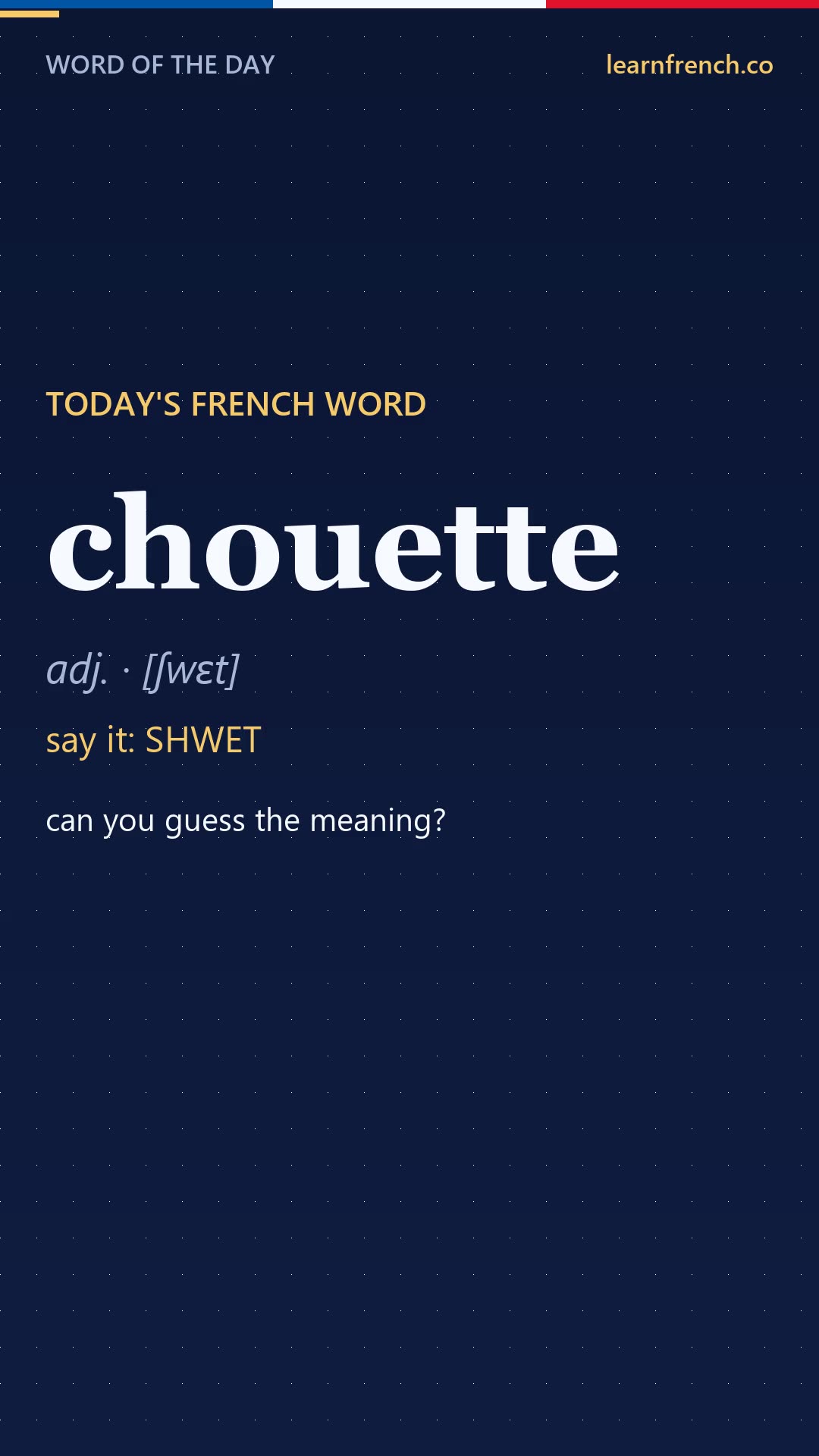 chouette — French Word of the Day in 20 seconds